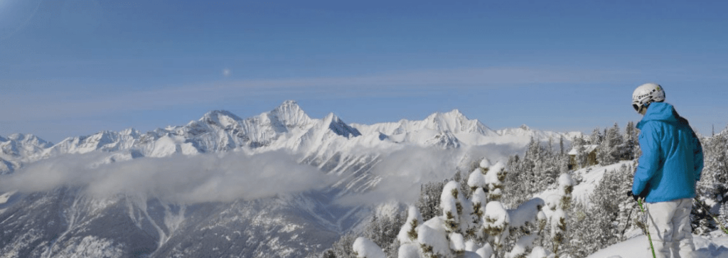 A skier looking over a high ski resort in North America
