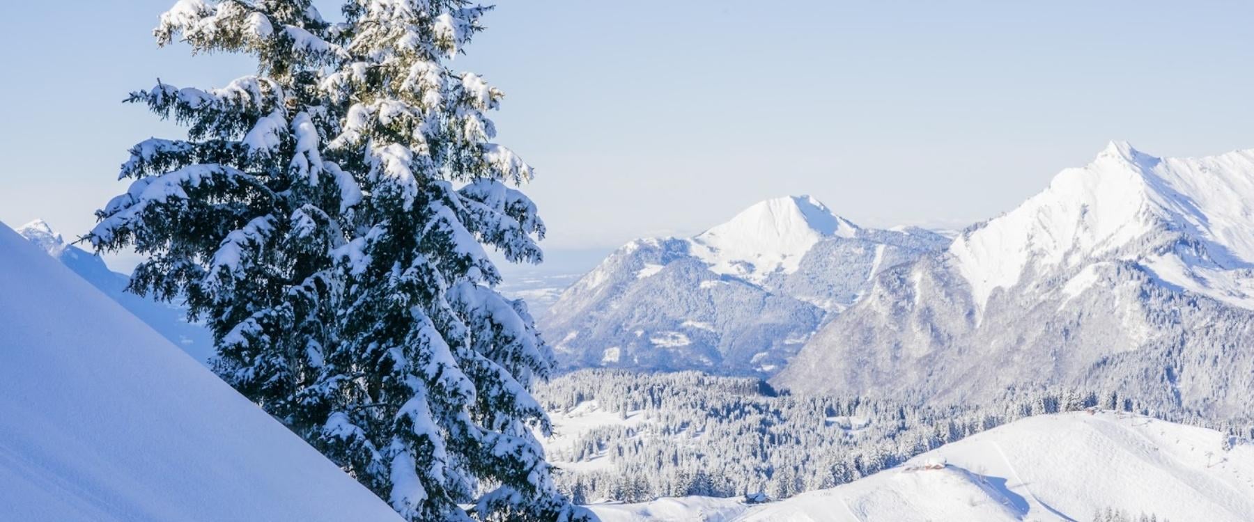 Les Gets Ski Holidays