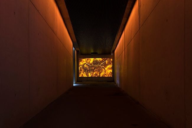 James Bond experience