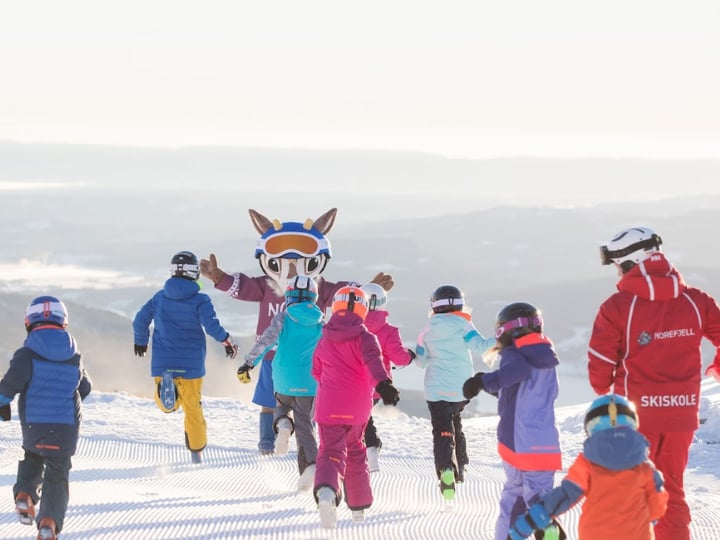 Pre-booked-Tailored-Ski-Lessons