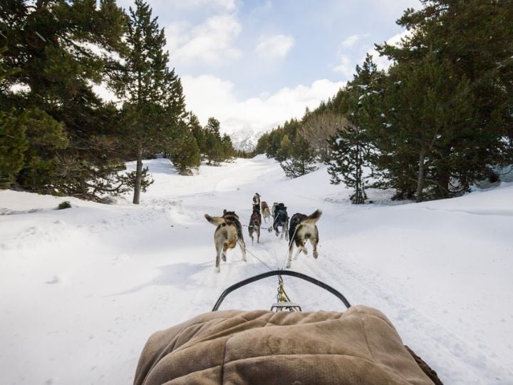 Non-Skiers in El Tarter