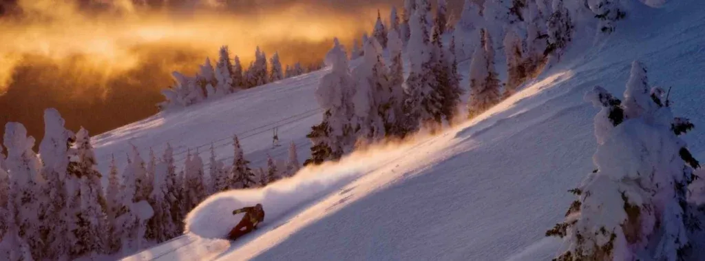 What's New for the 25-26 Season