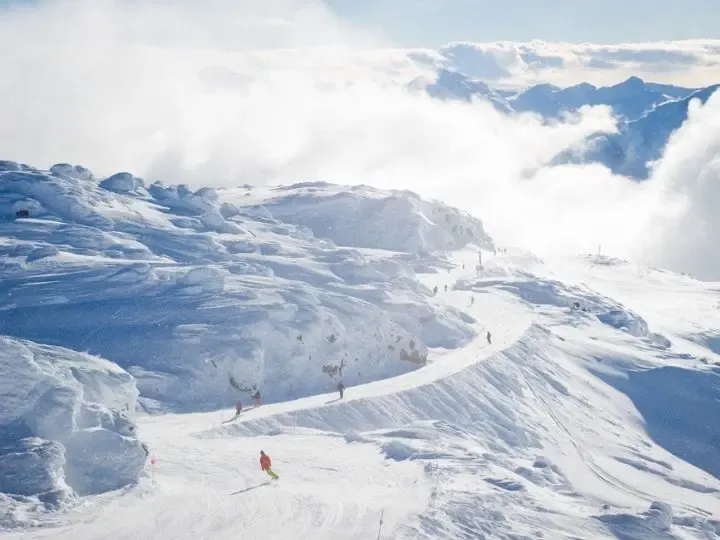 Canada New for 25-26 Season