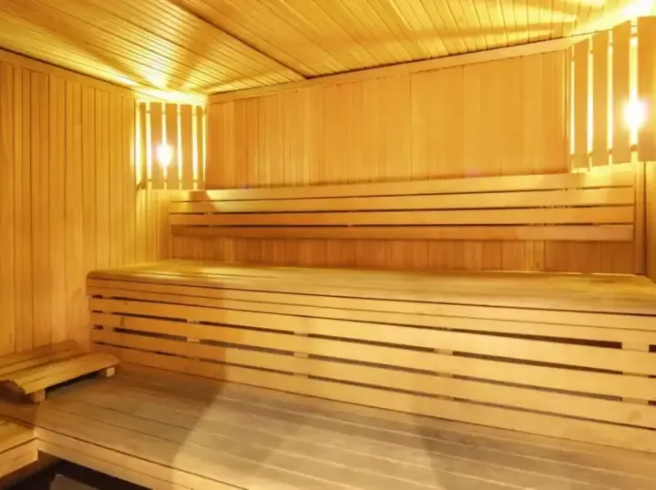 Les Bruyeres Hotel Sauna