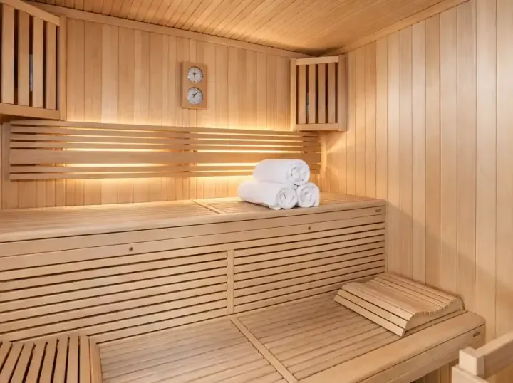 Chalet Barthelemy Sauna