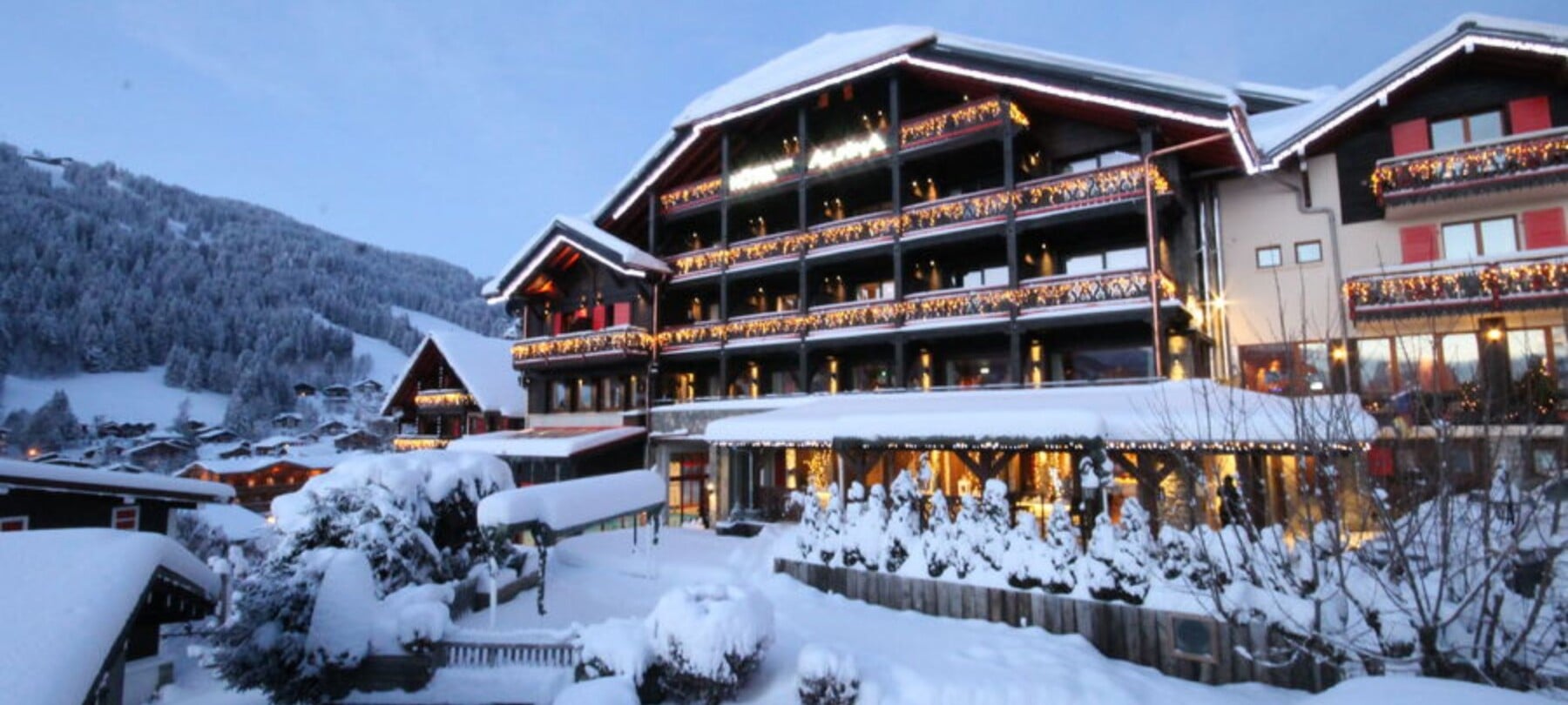 Hotel Alpina