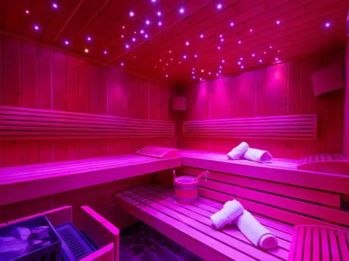 _Logis Hotel and Spa Sauna