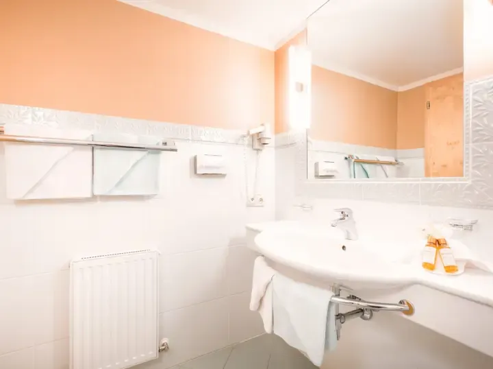 Hotel Rosa Canina - Bathroom